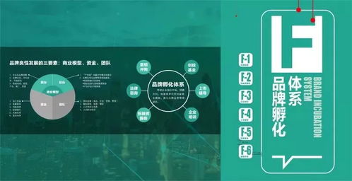 光合项目 从洋河创意设计中心看文化创意产业园的品牌化之路